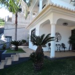 Palmfarn vor Hauseingang