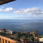 einige Häuser und Palmen vor dem Atlantik