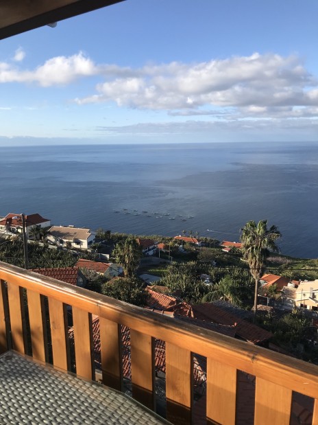 einige Häuser und Palmen vor dem Atlantik